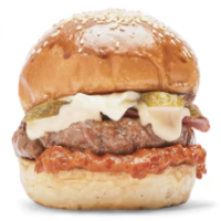 Burger Balkan Delight